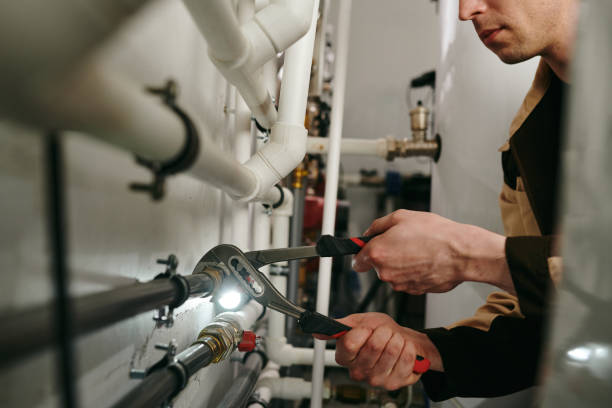 Best Emergency Plumbing Repair  in Hales Corners, WI