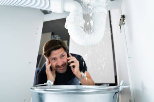 Best Clogged Drain Plumber  in Hales Corners, WI