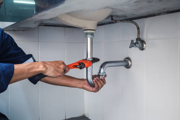 Best Local Plumber Services  in Hales Corners, WI
