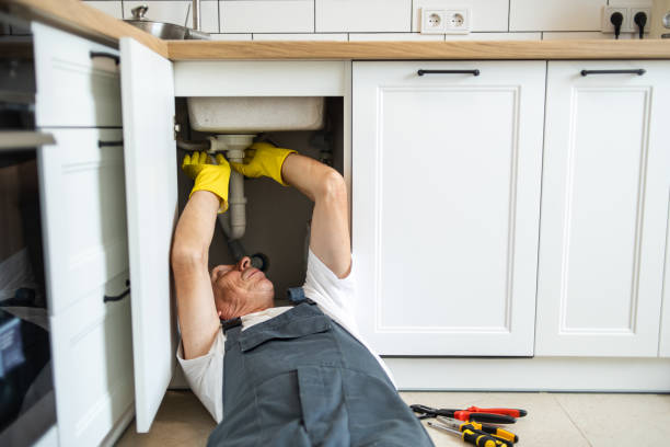 Best Affordable Plumbing Services  in Hales Corners, WI